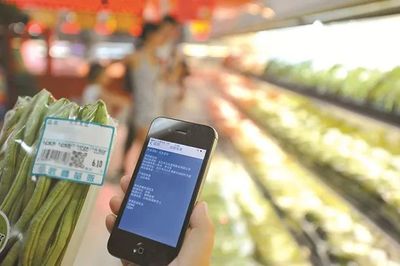 數字賦能，守護“舌尖安全”——無錫食品安全監管與網絡食品新業態高質量發展之路