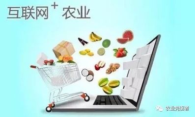 休閑農業13種創意新模式 當田園邂逅互聯網美食